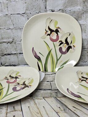 3 RED WING Pottery IRIS  10.5" Dinner Plates Vintage Hand Painted Floral